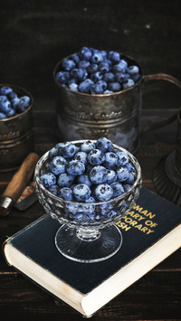 Sugar friend control sugar blueberry assistance