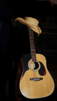 Guitar (12)
