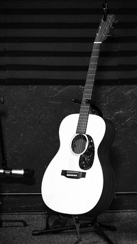 Guitar (6)