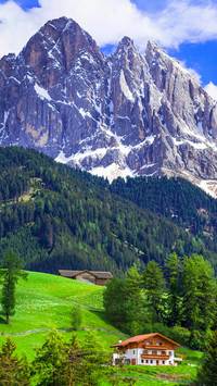 Summer in the Alps