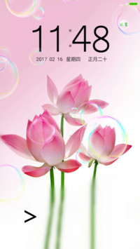 一莲幽梦