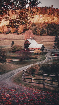 Beautiful Road in Country