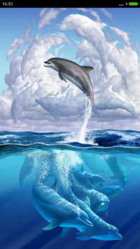 海豚