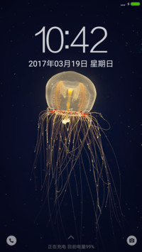 灯塔水母