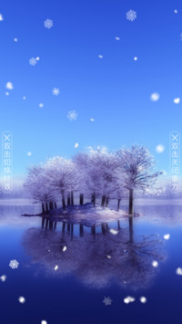 银树冬湖
