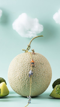 People eating melons look at it 13