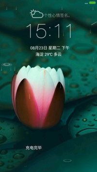 荷花绽放（流星下雨4D动态）