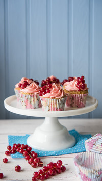 Qi Feng Cup Cake Tutorial 4