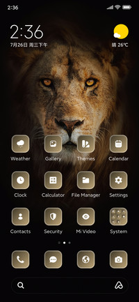 Lion Face