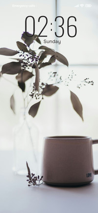 Vase with Flower