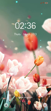 Spring tulip
