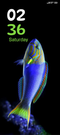 Fish