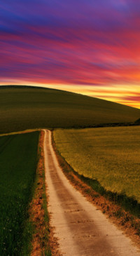 Roads &amp; Pathways (34)
