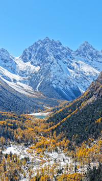 The picture of autumn