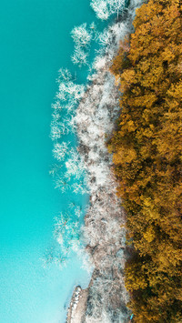 The color contrast of autumn