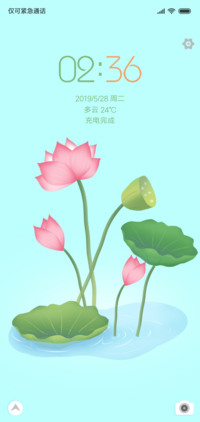 荷花（绿色护眼）