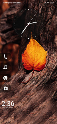 Autumn Dz