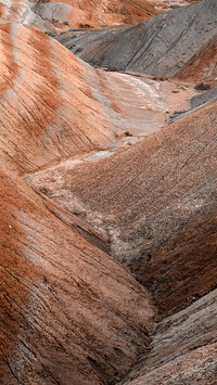 Natural Mocha Mousse in the Landscape