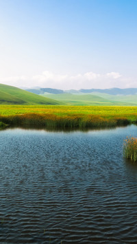 The natural scenery of the Great Swamp