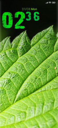 leaves green