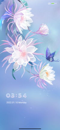 Dream yuhua