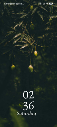 Nature Bounty