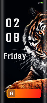 Tiger Beats