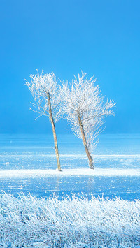 Winter scenery