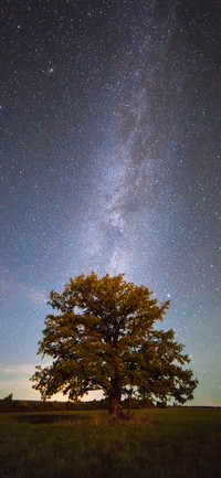 银河星空-拍信图库