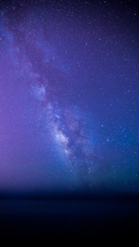 Purple (1)
