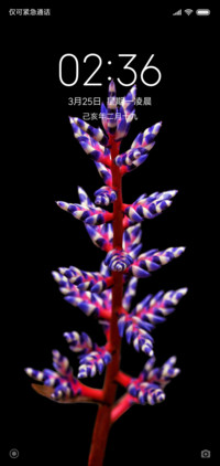 奇异花
