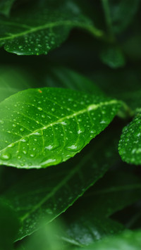 Good rain knows the season