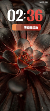Petals