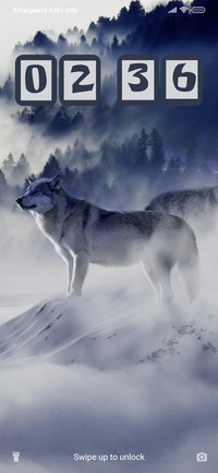 Wolf Habitat_3MDS