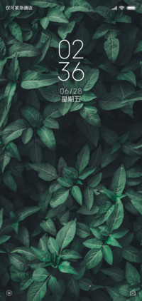 绿色树叶