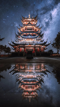 且亭亭 且停停