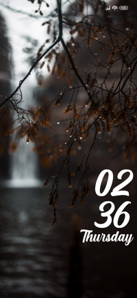 Raindrops