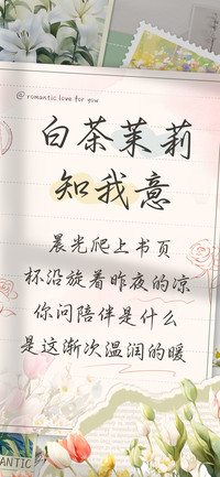 白茶茉莉知我意