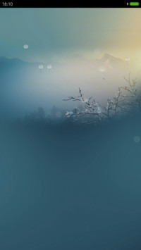 蒲公英