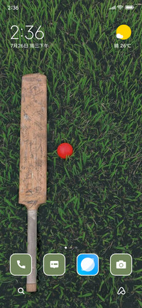 Cricket