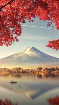 Colorful Autumn Season and Mountain Fuji with Red Leaves