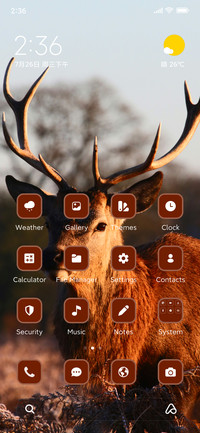 Deer