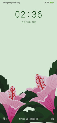Flowers_3MDP