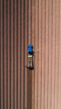 Mechanized tomato harvesting in Xinjiang 67