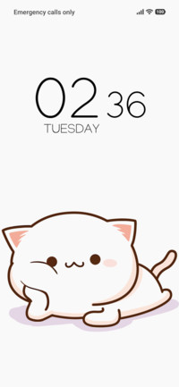 Cute Cat