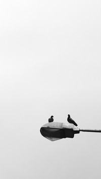 Black and white