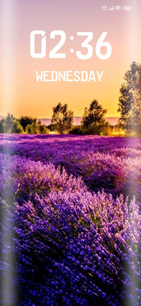 Lavender