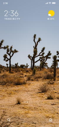Dessert Trees