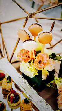 法式马卡龙