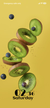 Ocean Fruits